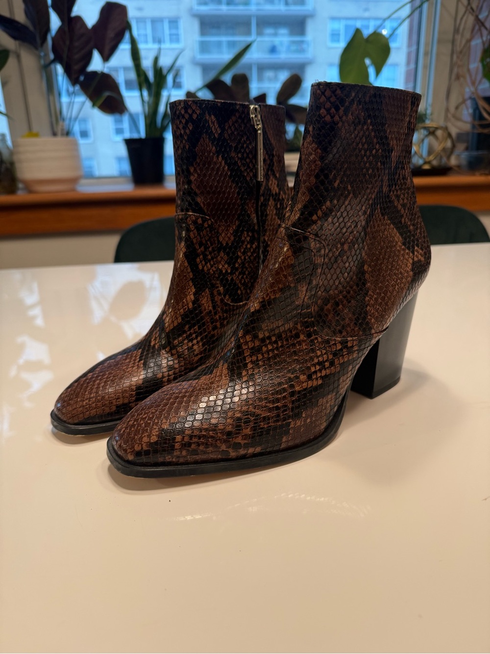 Zara Brown Snake-Print Ankle Boots - Square Toe